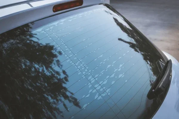 43 Percent Window Tint Explained and Why It Matters