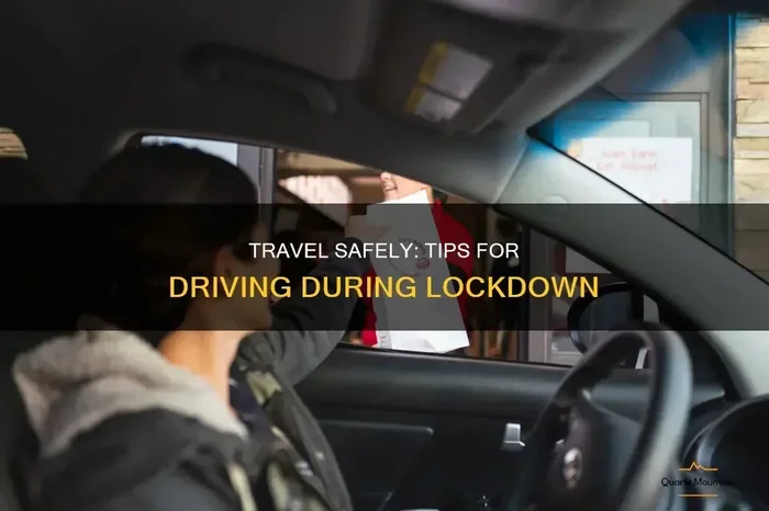 Essential Rules for Traveling in Car During Lockdown
